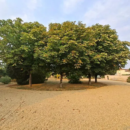 La Glycine, Maison De A En Sud Vendee Au Calme *