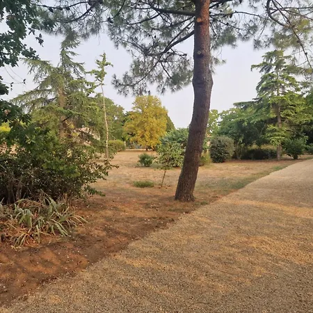 Vakantiehuis La Glycine, Maison De A En Sud Vendee