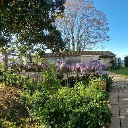 בית נופש La Glycine, Maison Au Calme Avec Jardin, Fibre Wi-fi, 20 Min Des Plages, Parking Prive Luçon